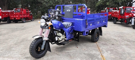 151 200cc Disposição 3 rodas Motor a gasolina Motorizado gasolina Triciclos de carga para adultos
