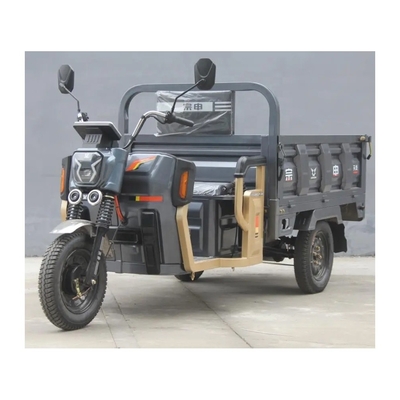 1000W Motor Três Rodas Cargo Triciclo Elétrico para Adultos 1 Passageiro Tipo de Corpo Aberto