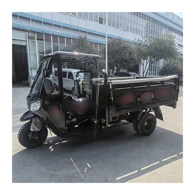 Velocidade máxima Motor a gasolina Cargo Triciclo motorizado para adultos