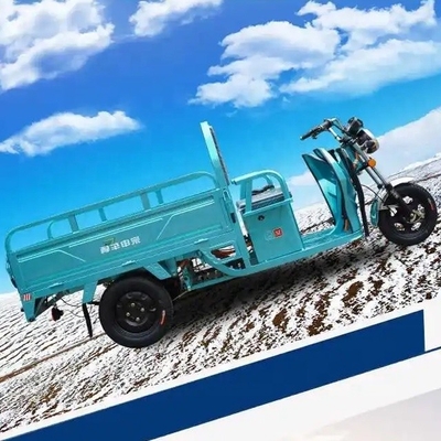 Triciclo elétrico motorizado de carga / ciclomotor de três rodas adulto com tempo de carga de 3-5h