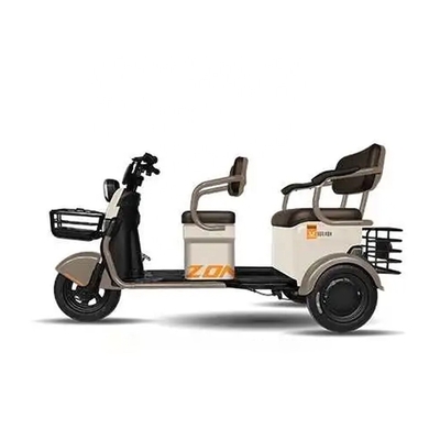 Motor eléctrico Bicicleta Triciclo Scooter Bicicleta Conduzir Tipo Elétrico Capacidade de classificação ≥ 25°