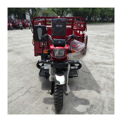 Triciclo de 300cc com Fortalecimento 8 Leaf Springs Filipinas Motorizado Super Moto Cargo
