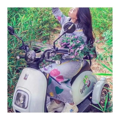 Frente/Retro 3.00-8 Pneus de vácuo Elétrico Scooter de carro de 3 rodas para meninas Tipo de corpo aberto