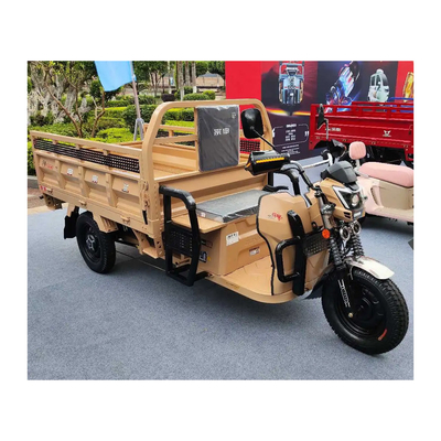 Etrike elétrico de 3 rodas com freios traseiros de tambor dianteiro e quilometragem de condução de 70-90 km