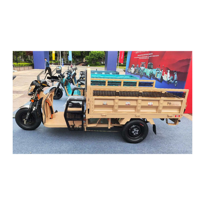 Etrike elétrico de 3 rodas com freios traseiros de tambor dianteiro e quilometragem de condução de 70-90 km