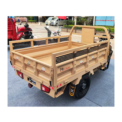 Etrike elétrico de 3 rodas com freios traseiros de tambor dianteiro e quilometragem de condução de 70-90 km